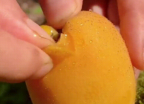 1761115212843084.gif